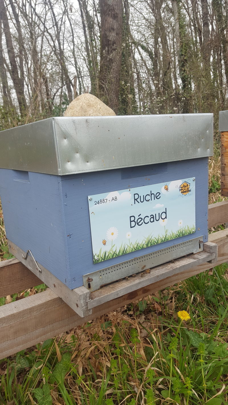 La ruche Bécaud