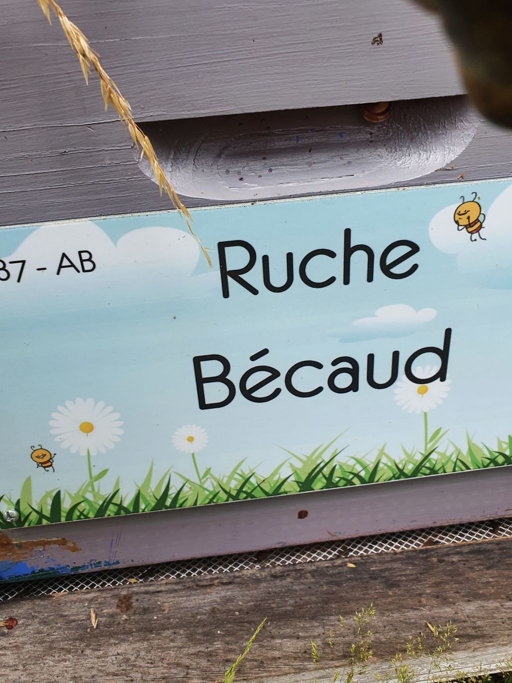 La ruche Bécaud