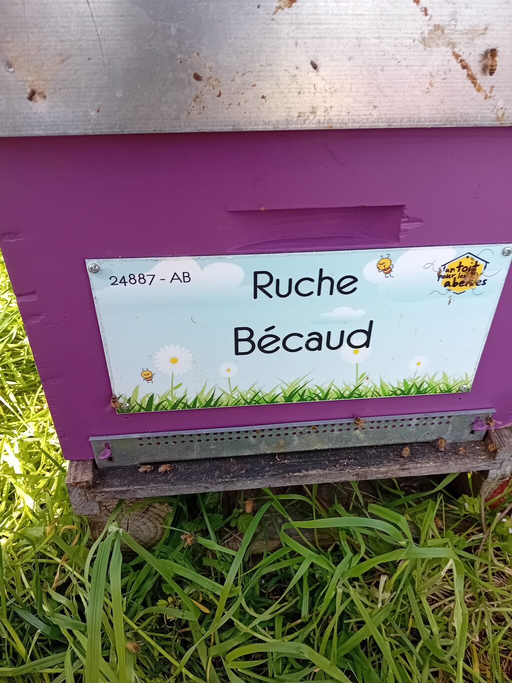 La ruche Bécaud
