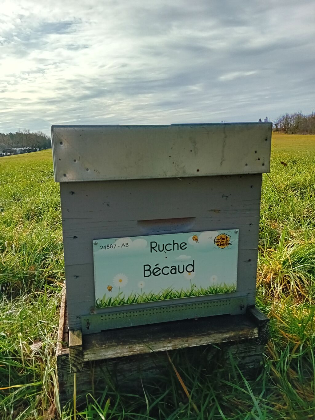 La ruche Bécaud