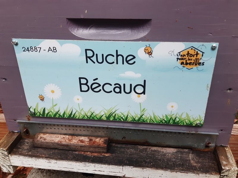 La ruche Bécaud