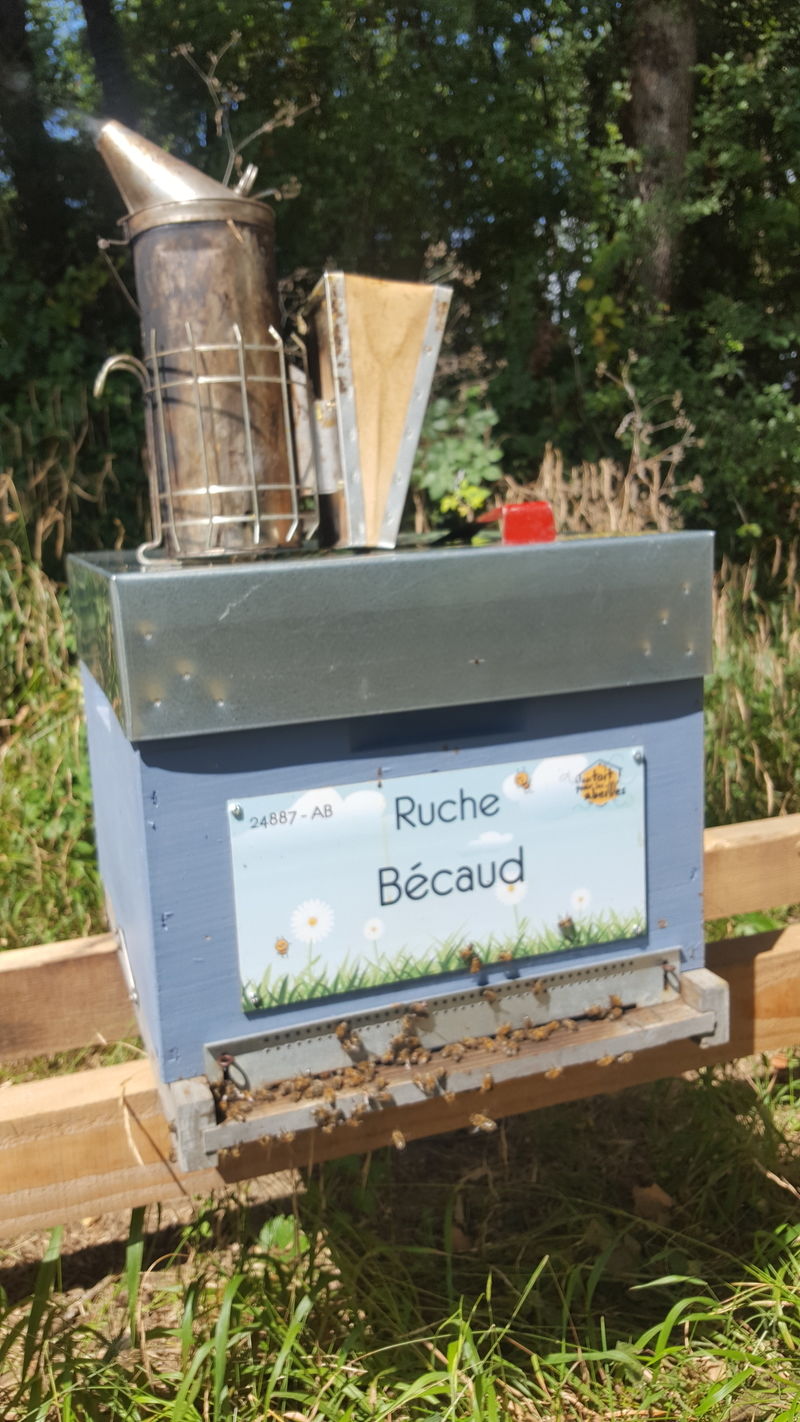 La ruche Bécaud