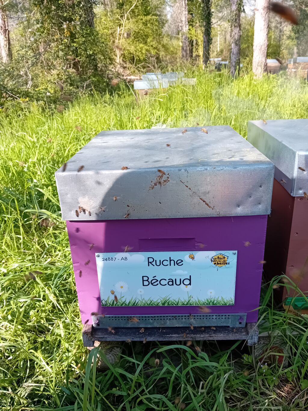 La ruche Bécaud