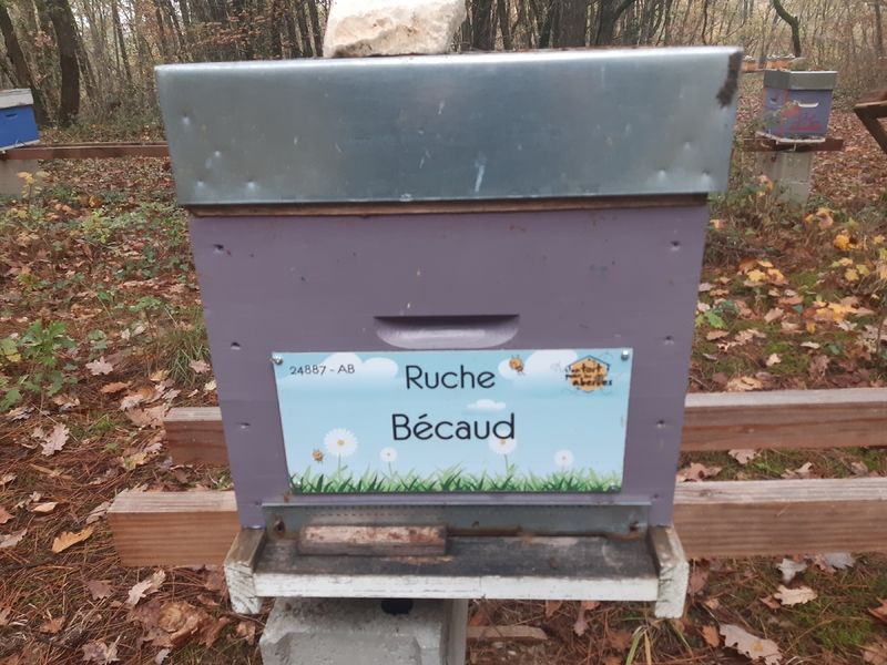 La ruche Bécaud