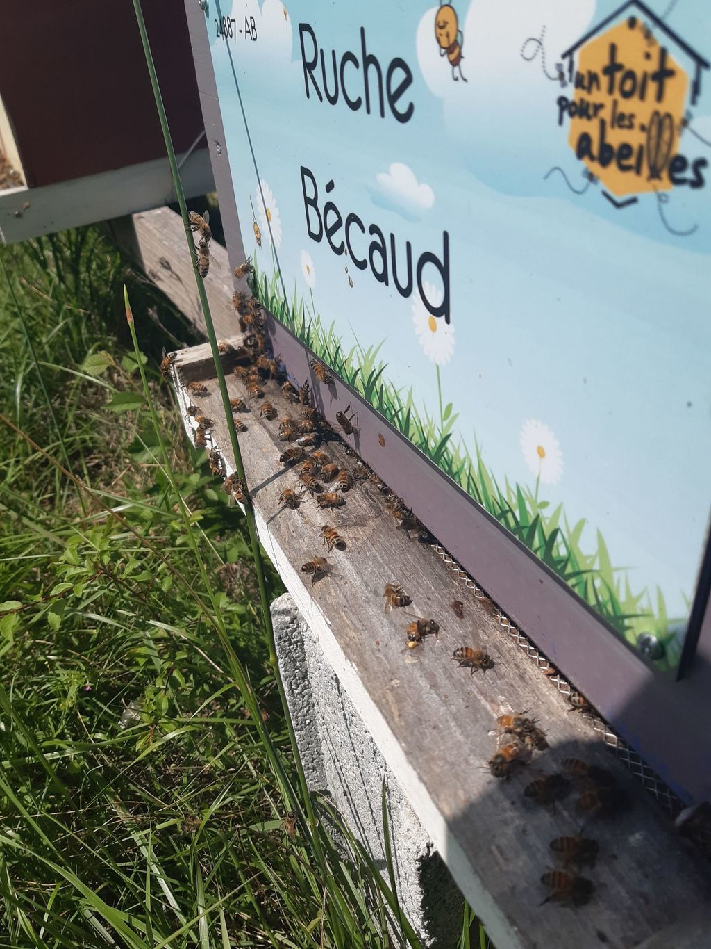 La ruche Bécaud