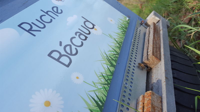 La ruche Bécaud