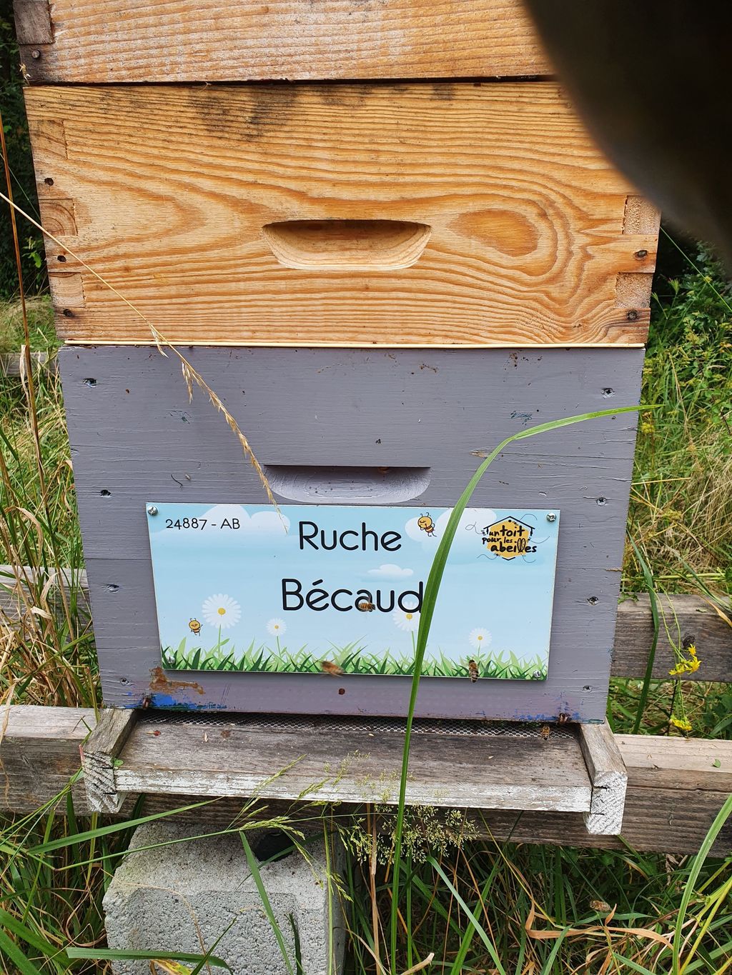 La ruche Bécaud