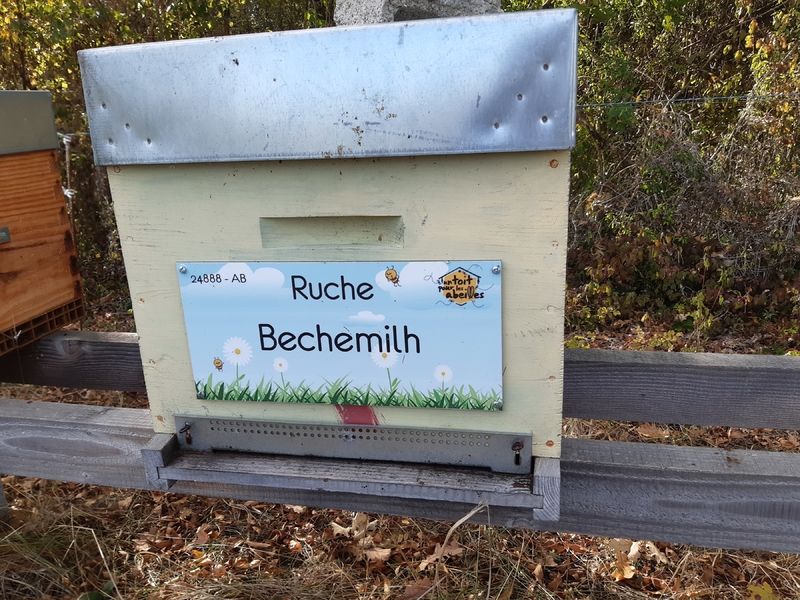 La ruche Bechemilh