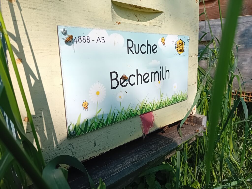 La ruche Bechemilh