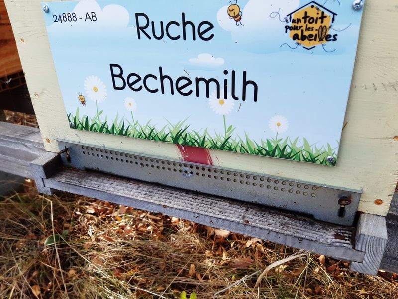 La ruche Bechemilh
