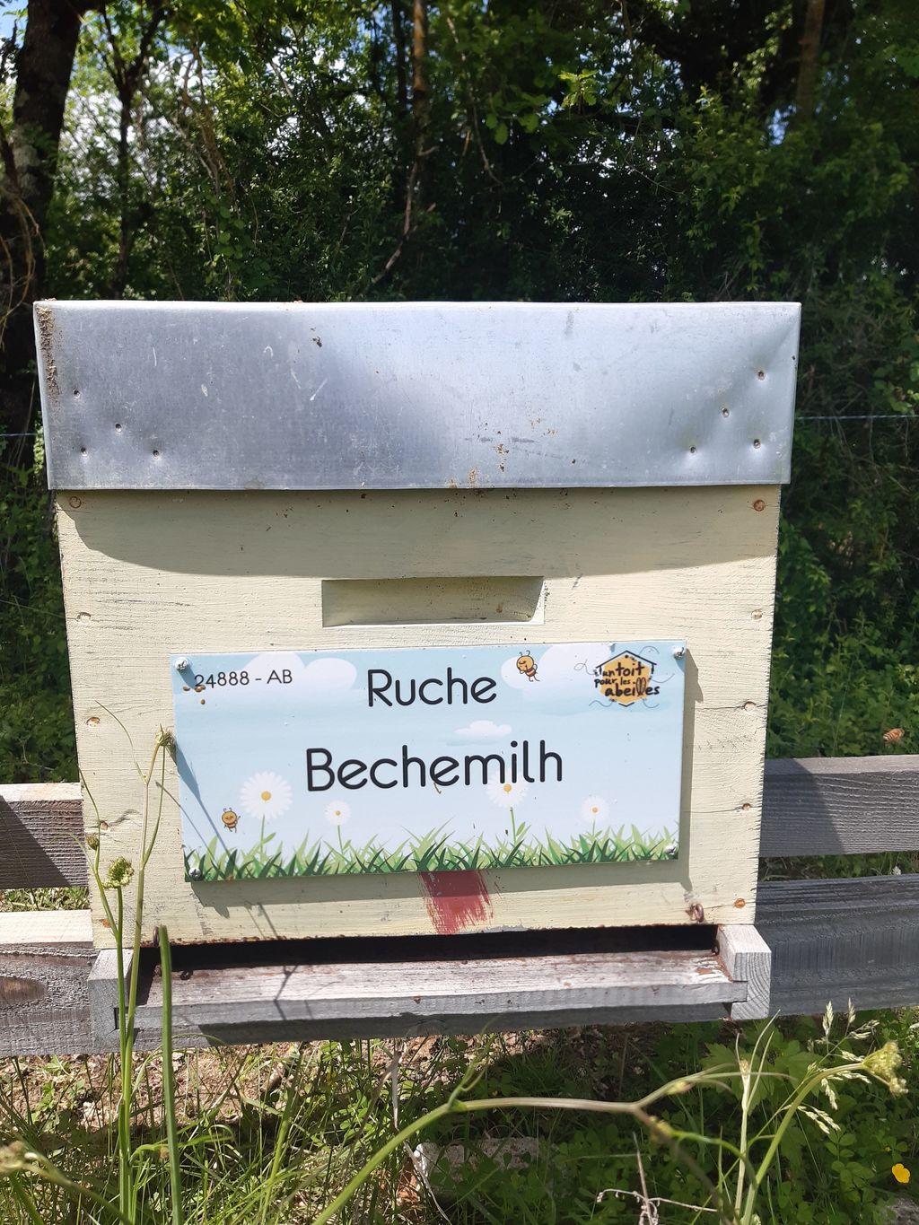 La ruche Bechemilh