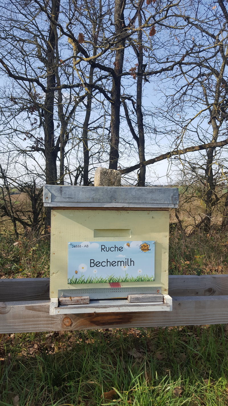 La ruche Bechemilh