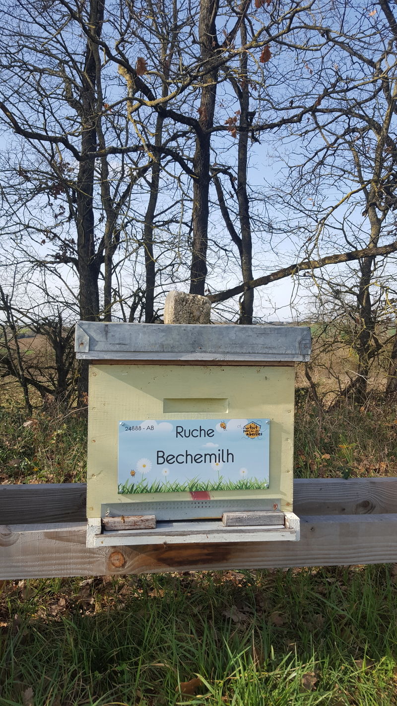 La ruche