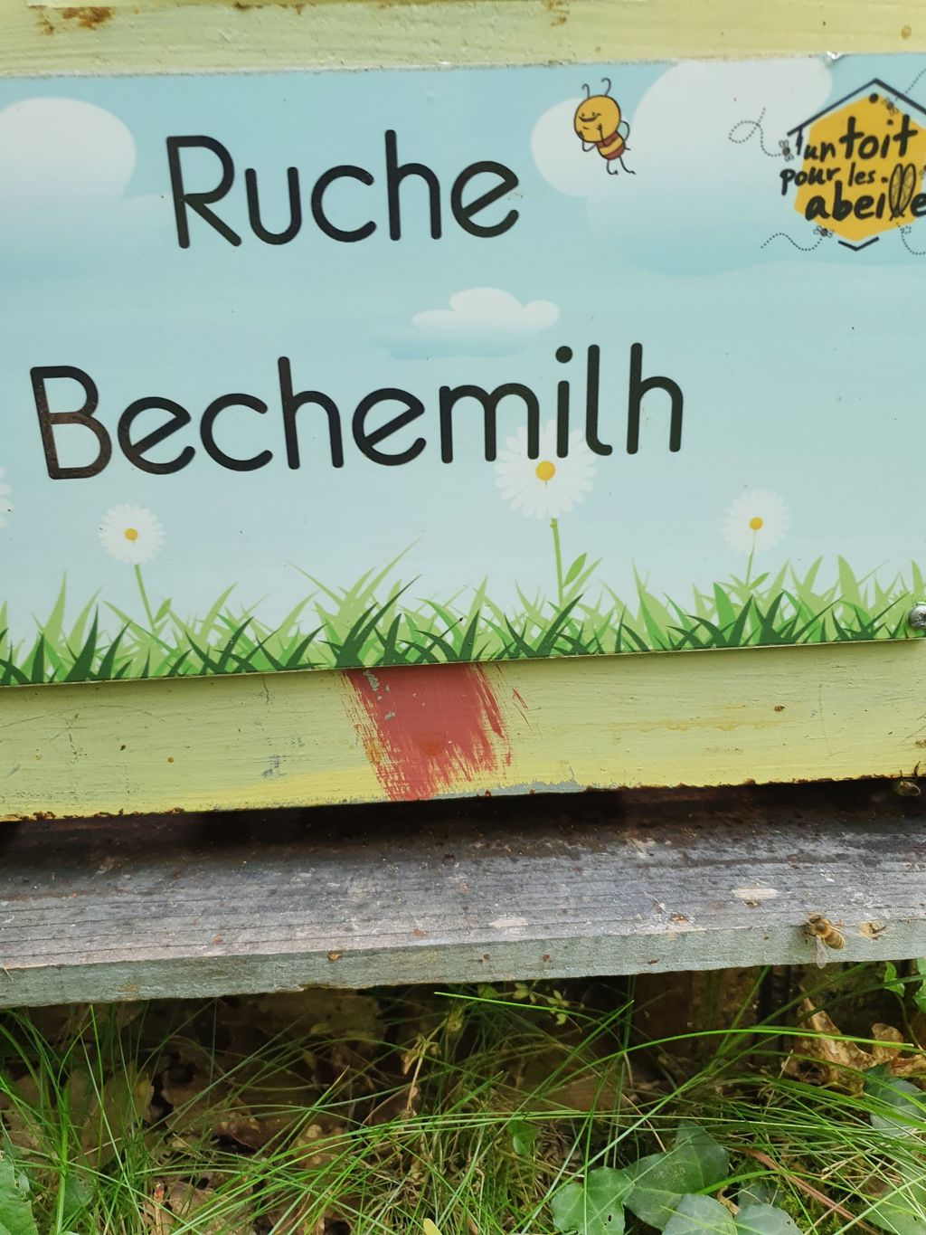 La ruche Bechemilh