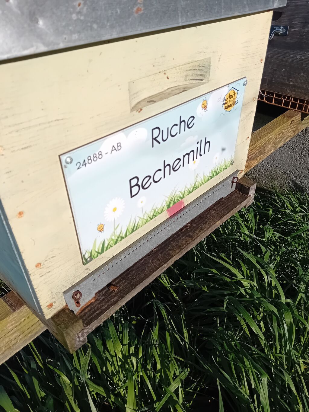 La ruche Bechemilh