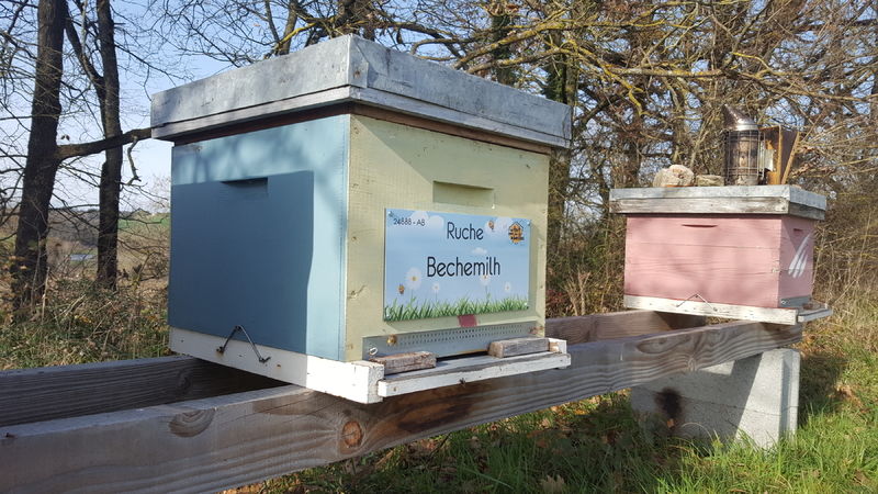 La ruche Bechemilh