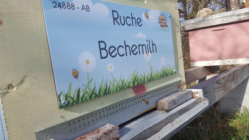 La ruche Bechemilh