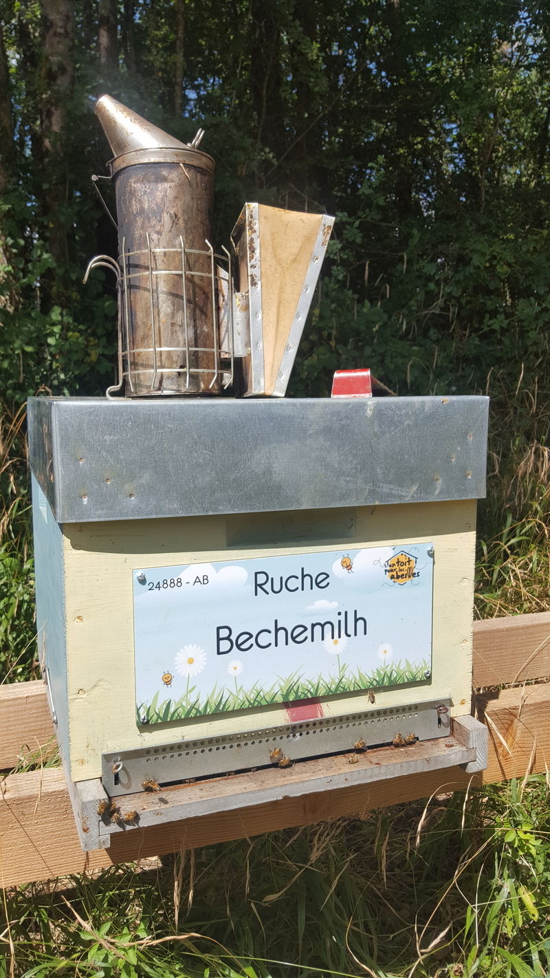 La ruche Bechemilh