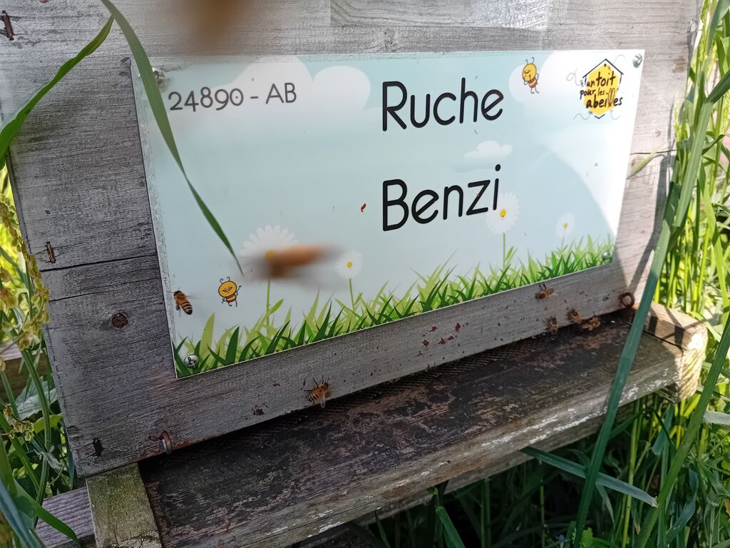La ruche Benzi