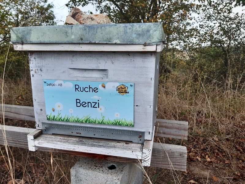 La ruche Benzi