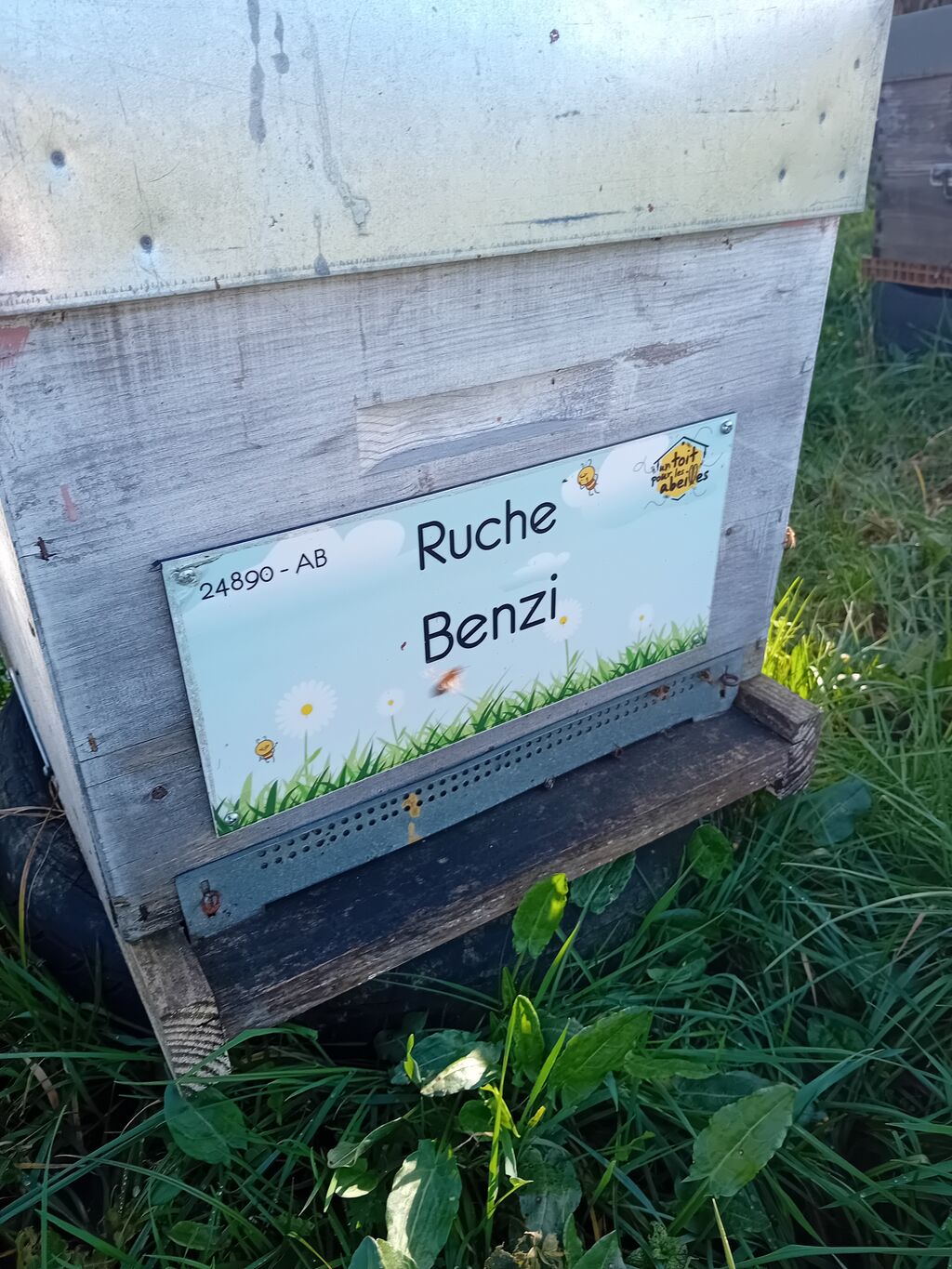La ruche Benzi