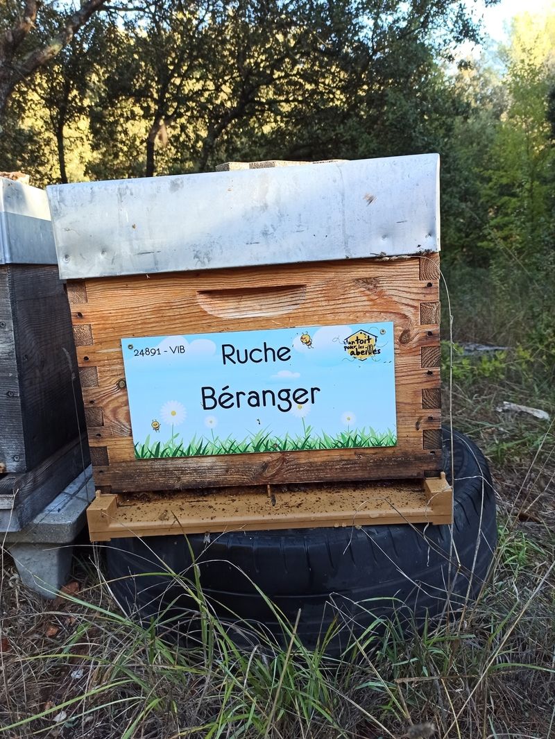 La ruche Béranger