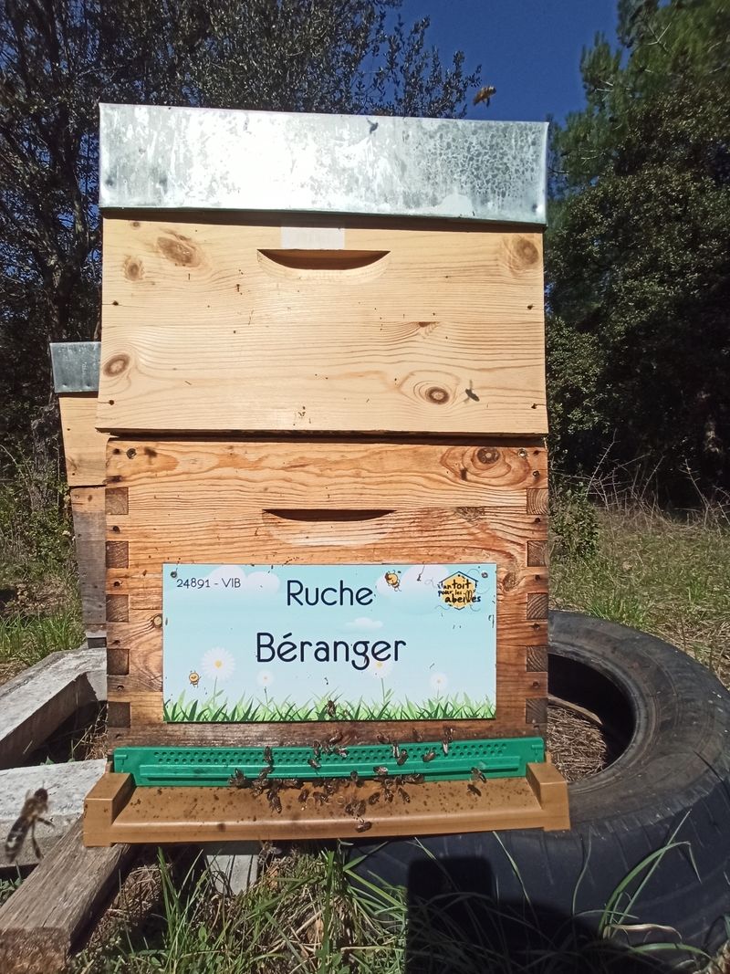 La ruche Béranger