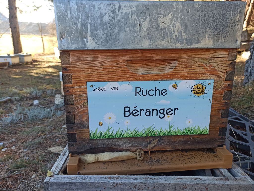 La ruche Béranger