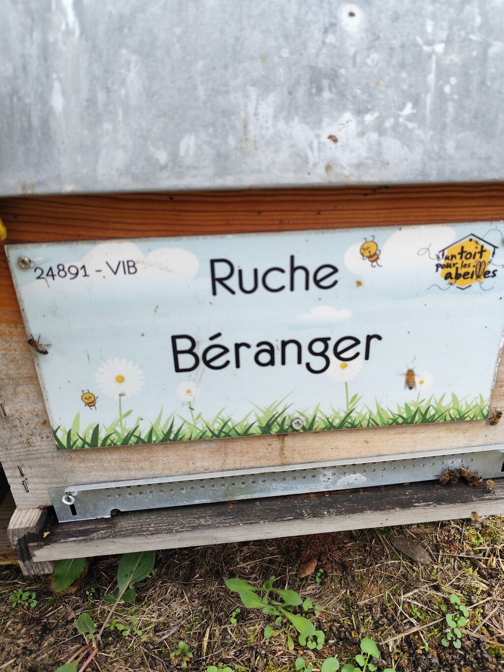 La ruche 