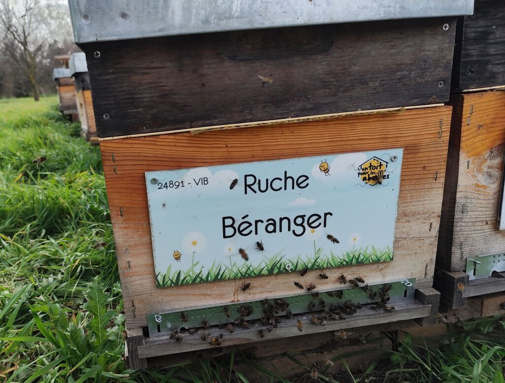 La ruche Béranger