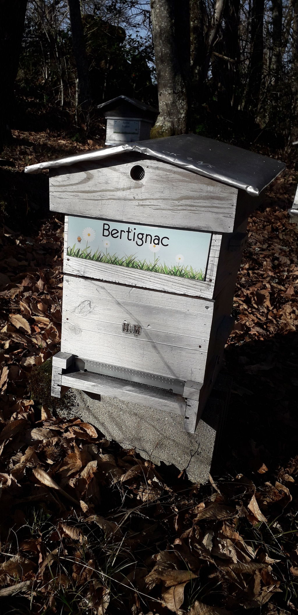 La ruche Bertignac