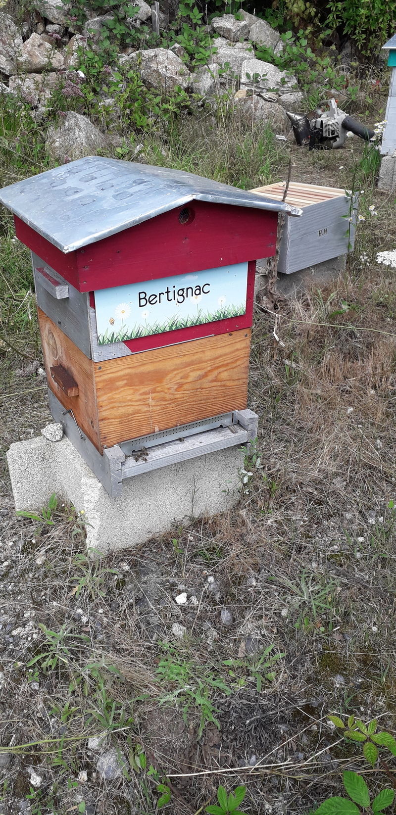 La ruche Bertignac