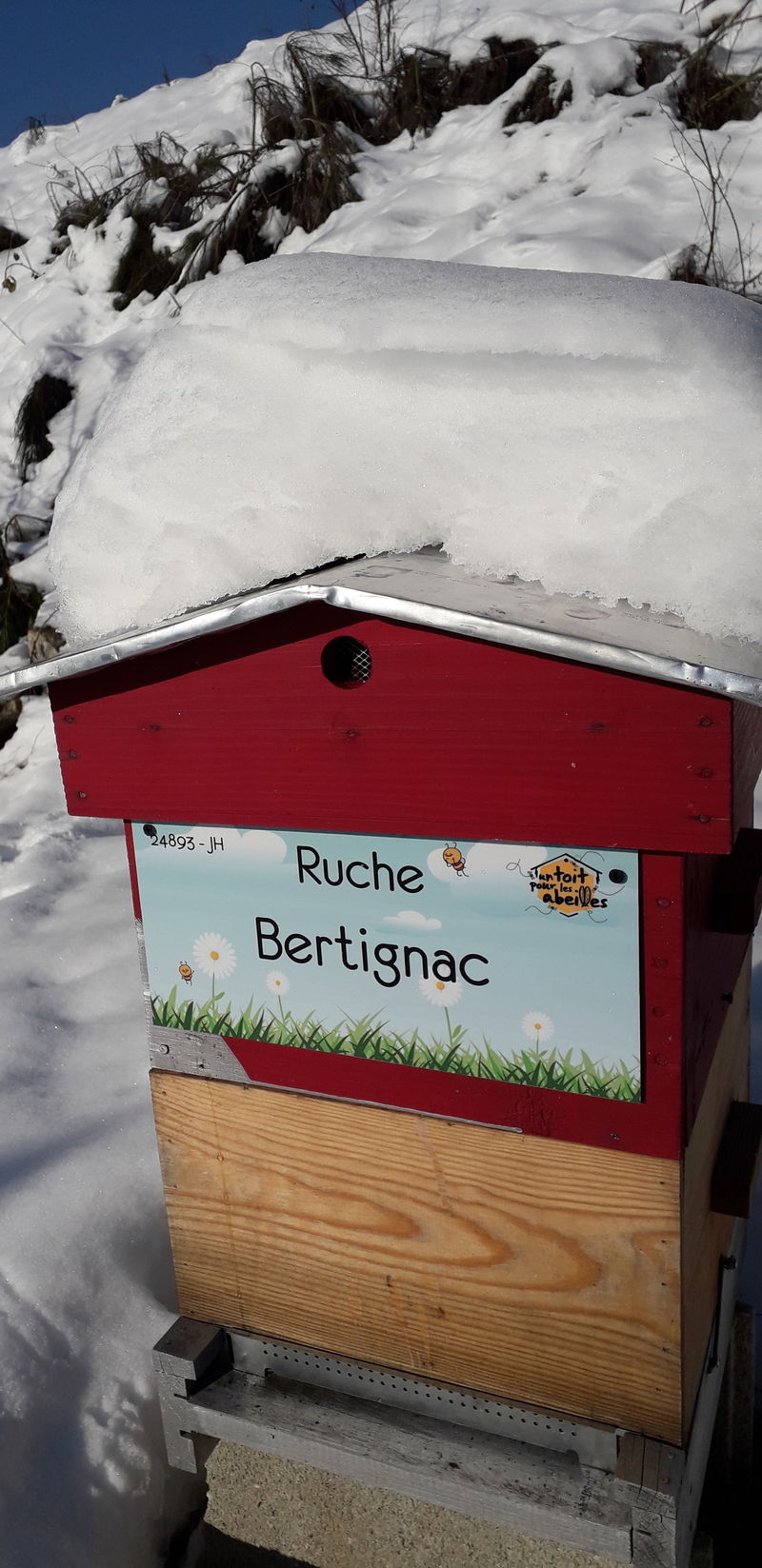 La ruche Bertignac