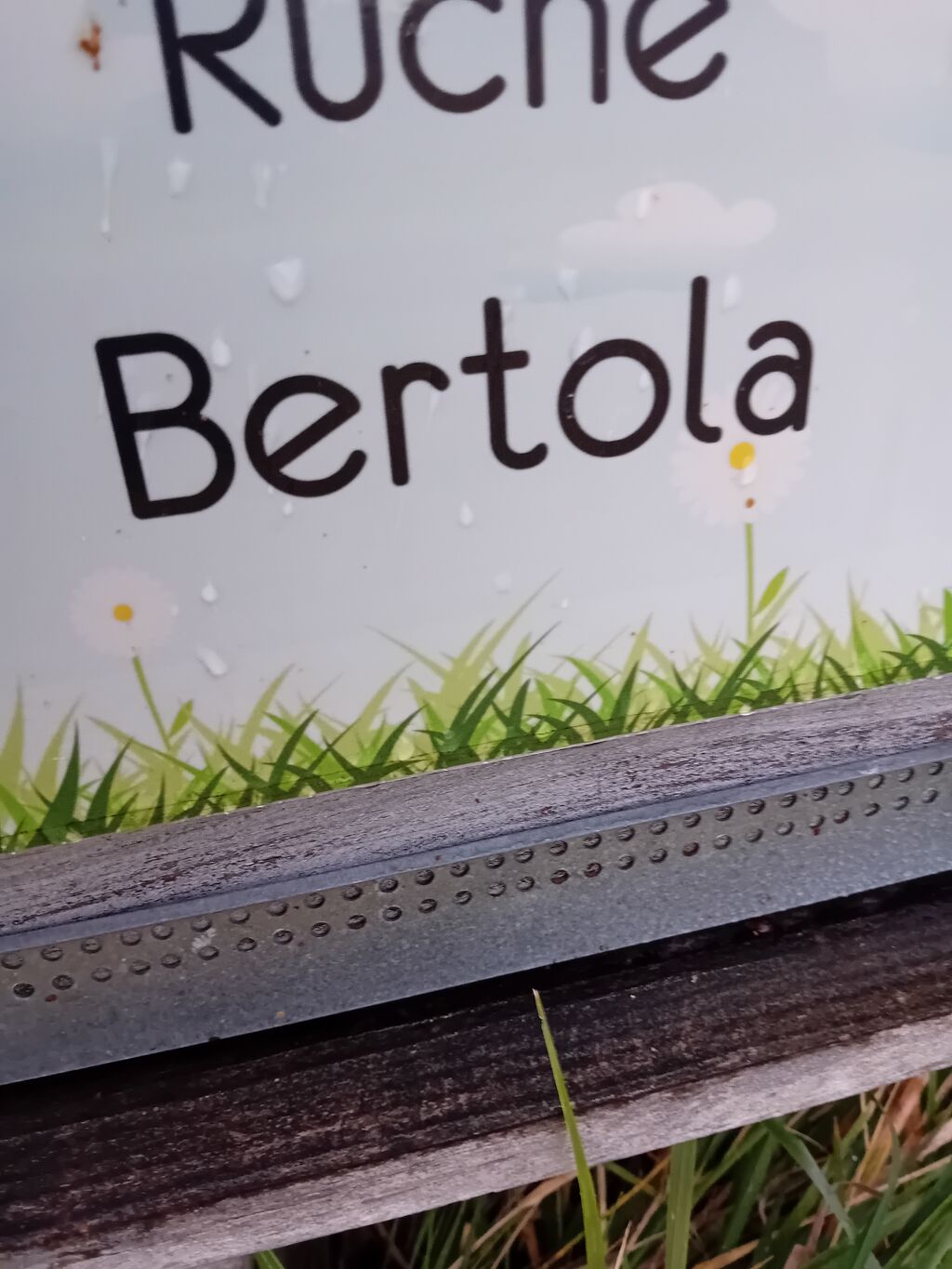 La ruche Bertola