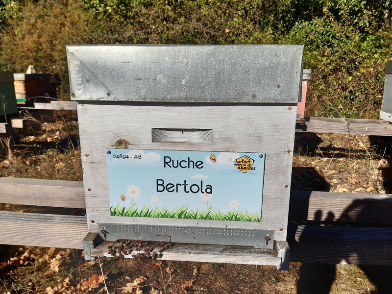 La ruche Bertola