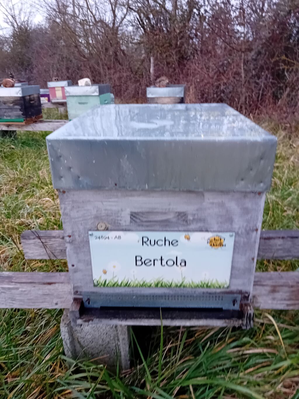La ruche Bertola