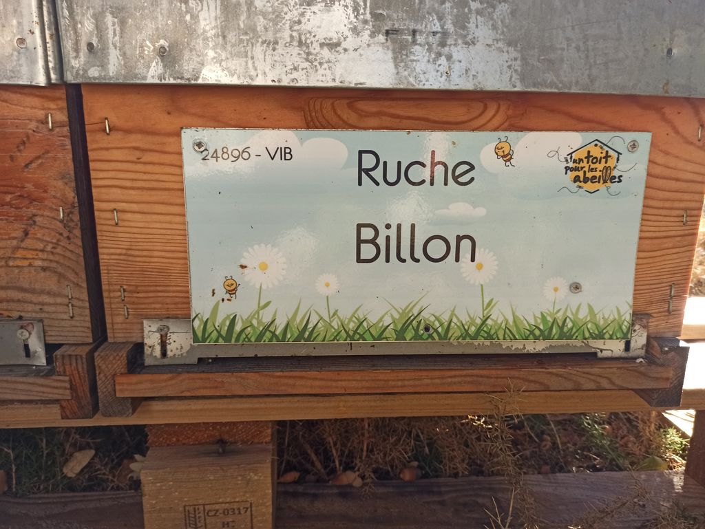 La ruche Billon
