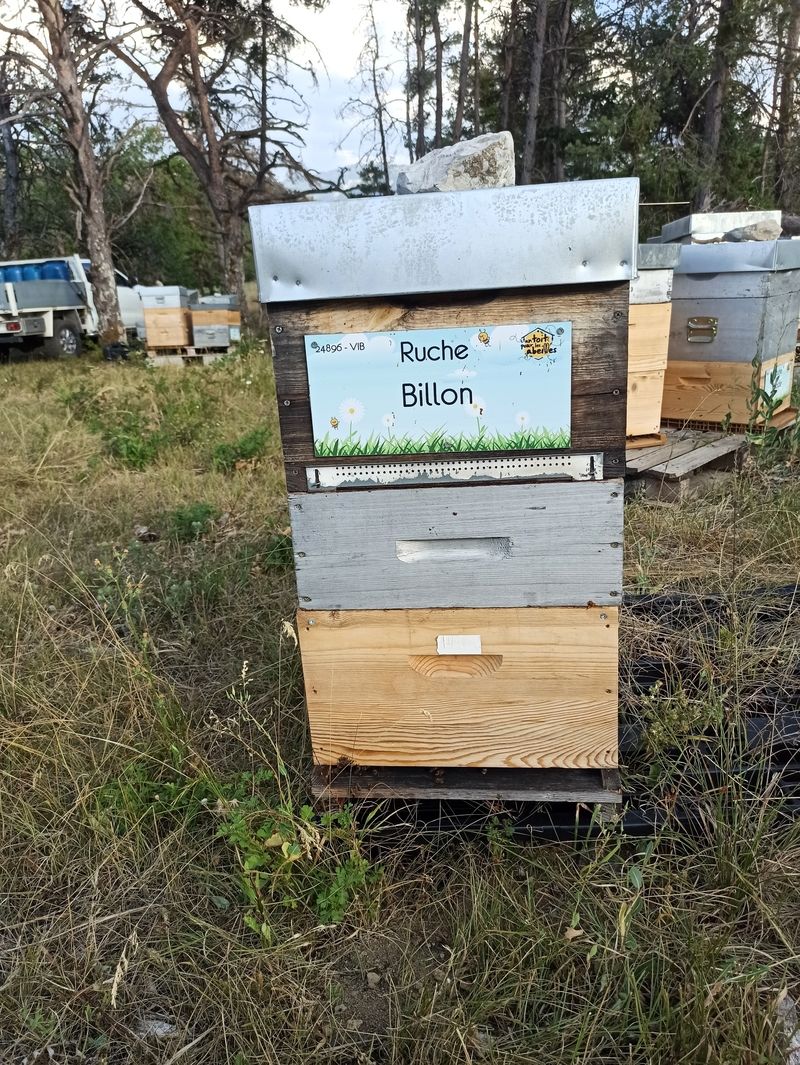 La ruche Billon