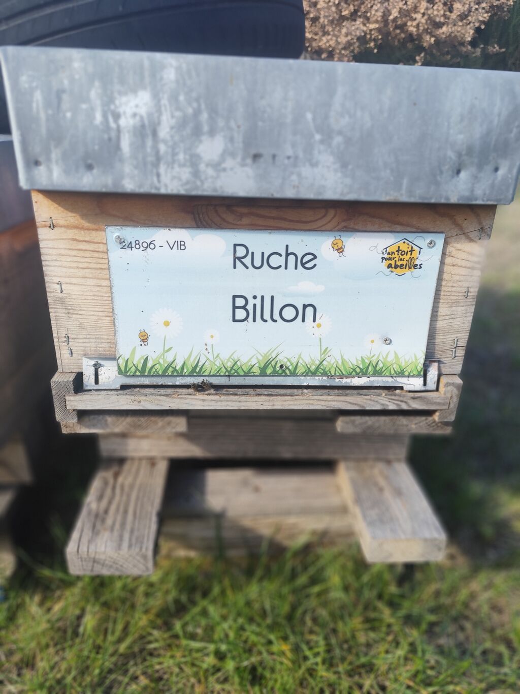 La ruche Billon