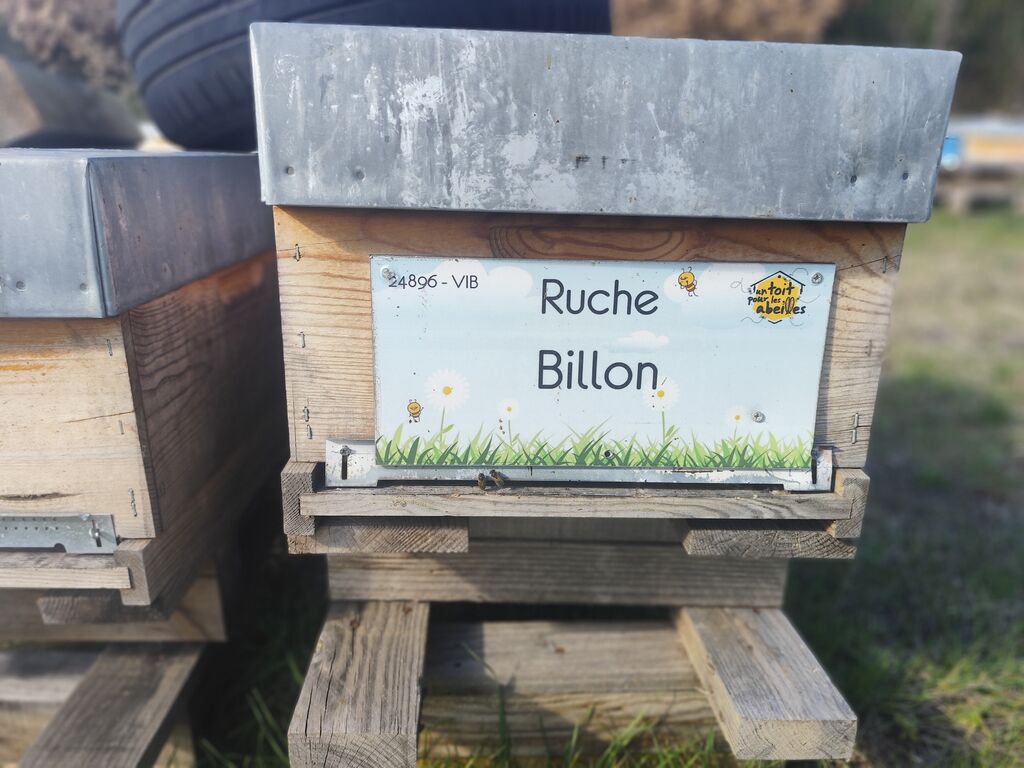La ruche 