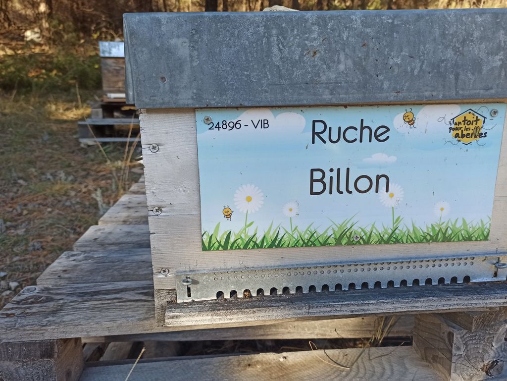 La ruche Billon