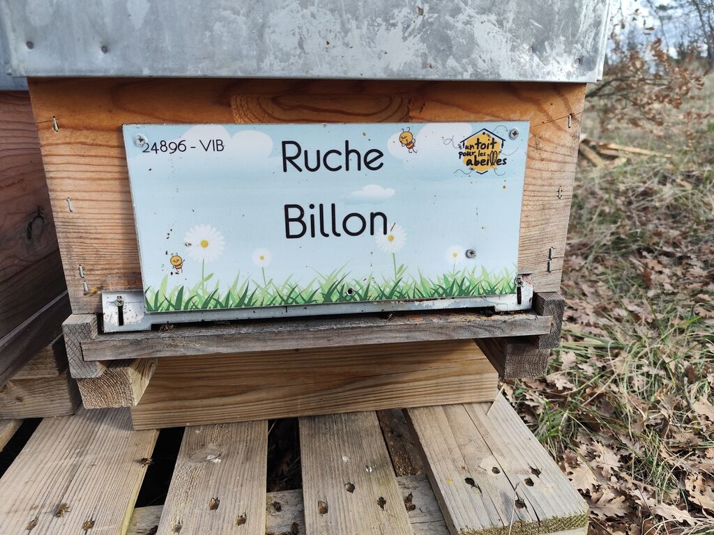 La ruche Billon