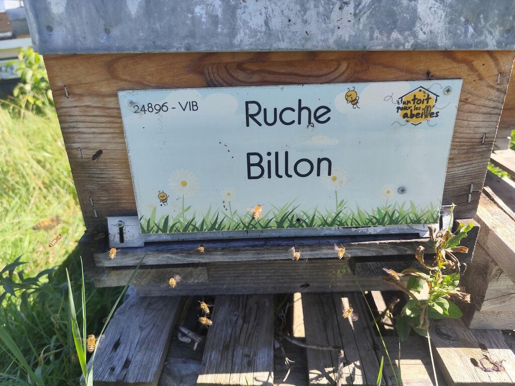 La ruche Billon