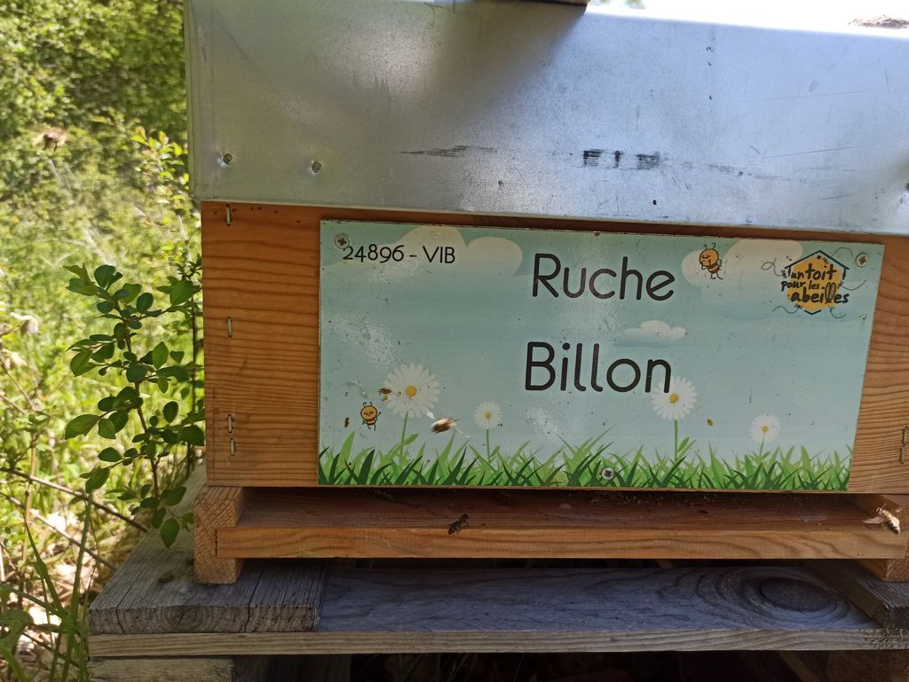 La ruche Billon