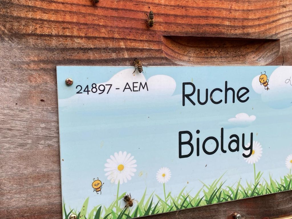 La ruche Biolay