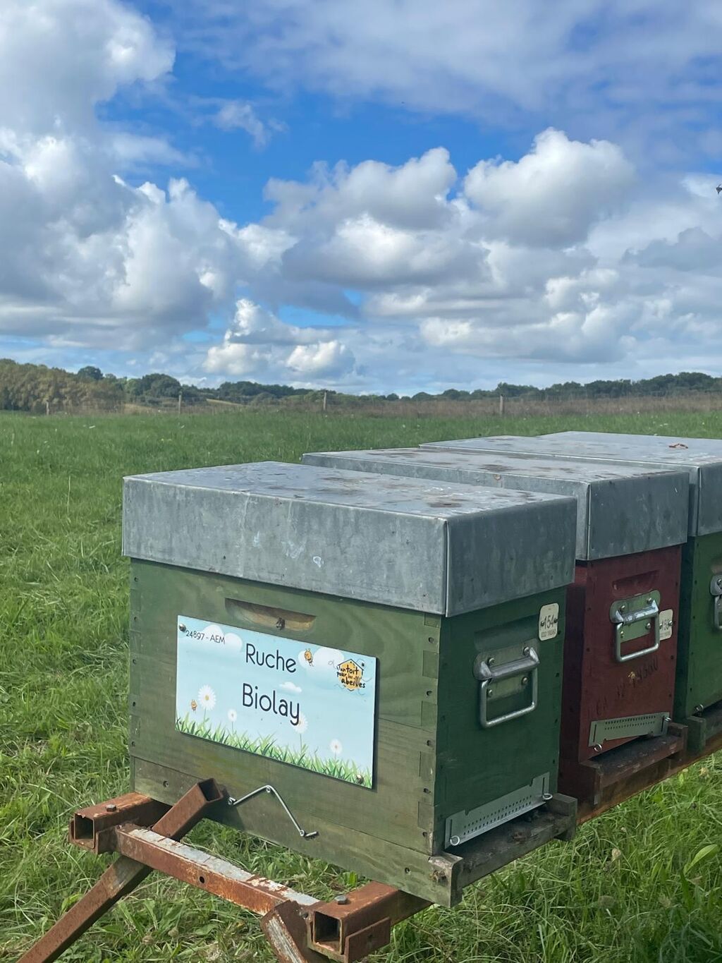 La ruche Biolay