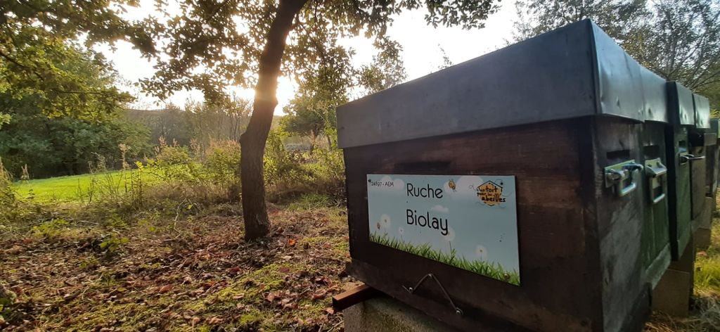 La ruche Biolay