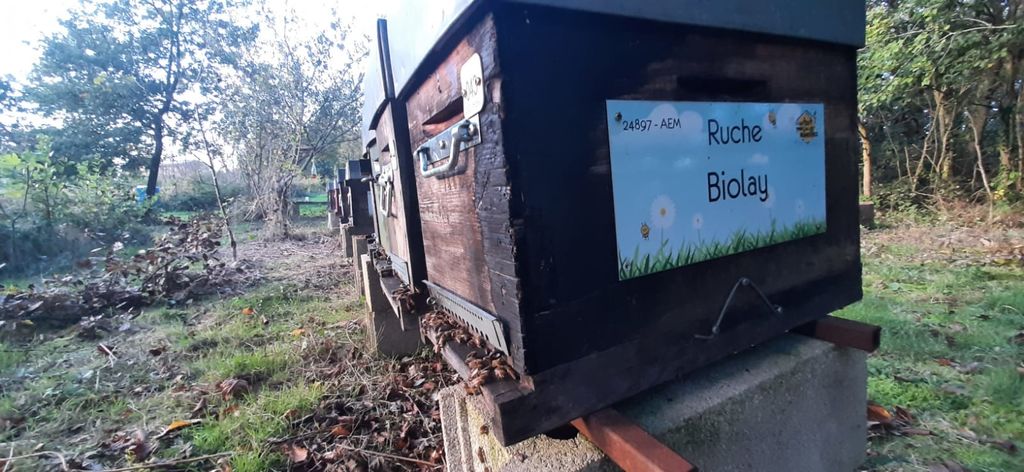 La ruche Biolay