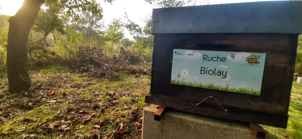 La ruche Biolay