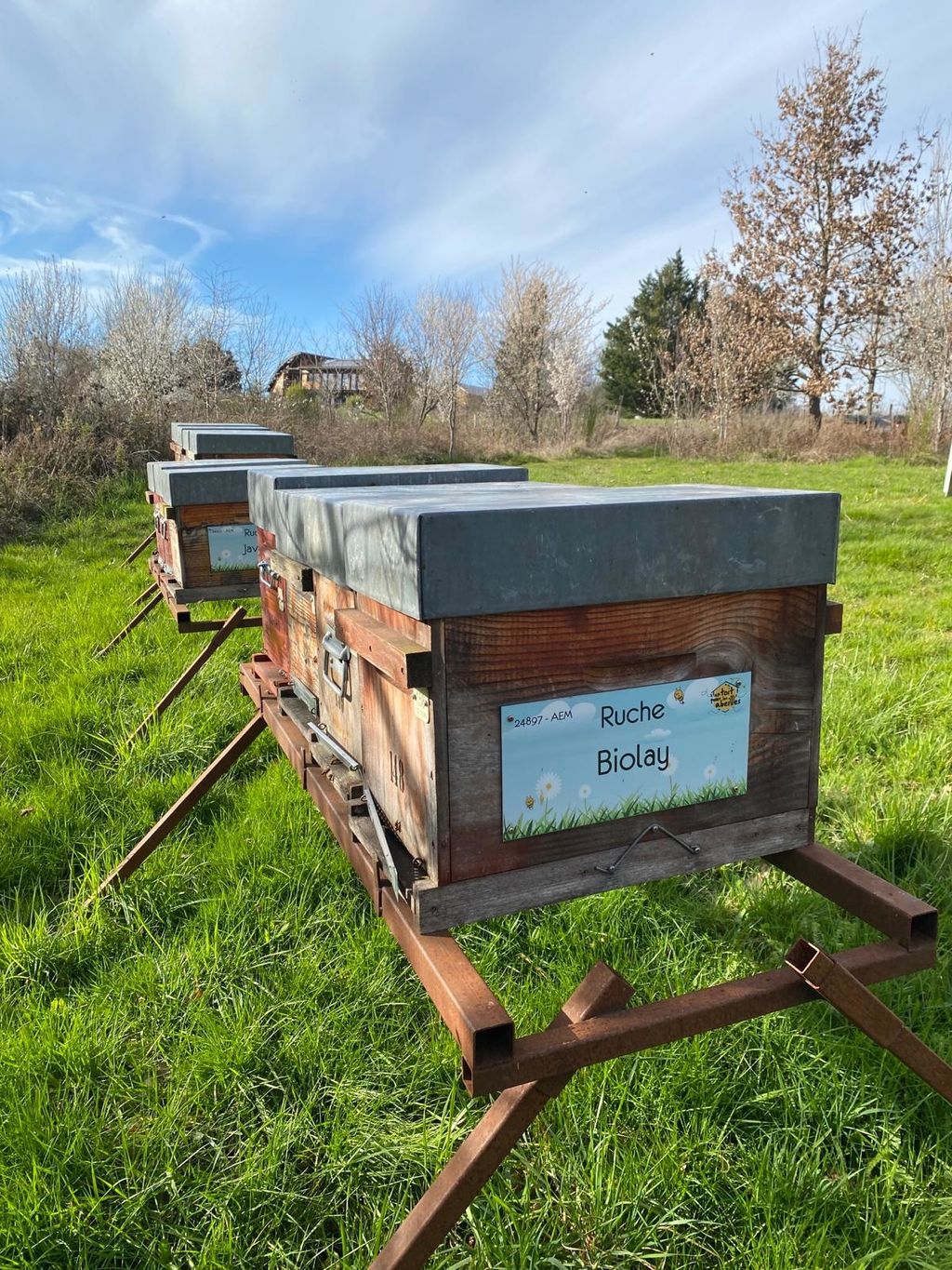 La ruche Biolay